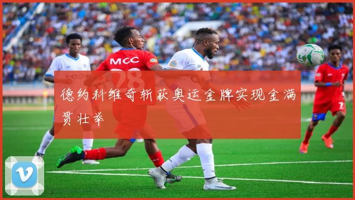 德约科维奇斩获奥运金牌实现金满贯壮举