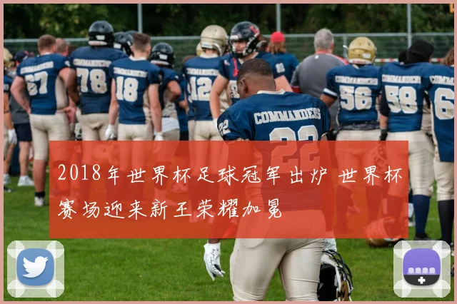 2018年世界杯足球冠军出炉 世界杯赛场迎来新王荣耀加冕