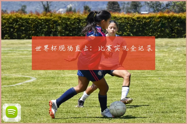 世界杯现场直击：比赛实况全记录