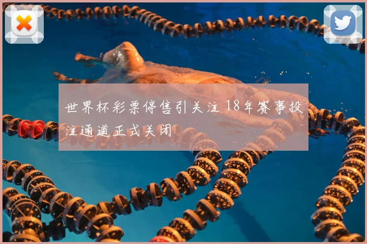 世界杯彩票停售引关注 18年赛事投注通道正式关闭