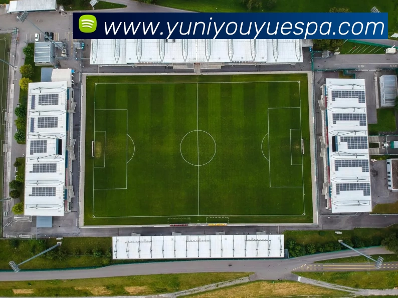 App Interface Preview